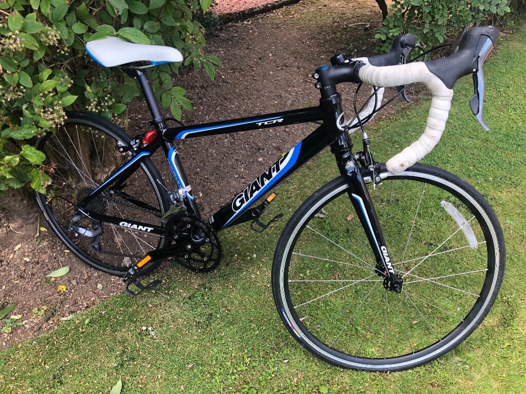 giant tcr junior